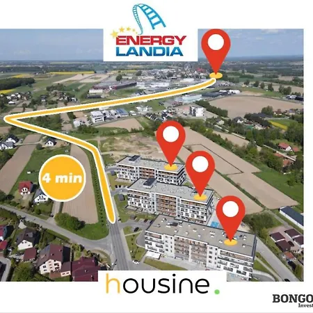 Forest 47 By Housine Daire *