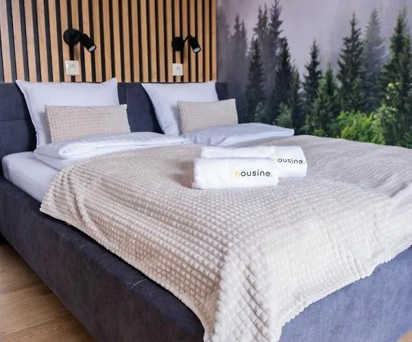 Forest 47 By Housine