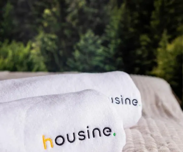 Forest 47 By Housine *